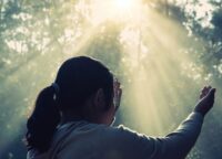 Vivre dans la Divine Volonté